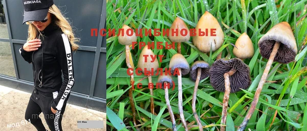 mdpv Белокуриха