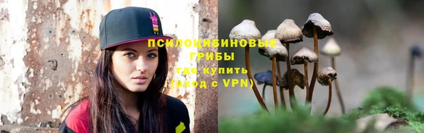 молекула духа Белоозёрский