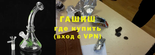 индика Беломорск