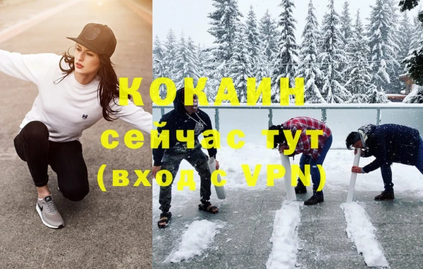 индика Беломорск