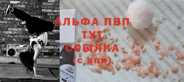 индика Беломорск
