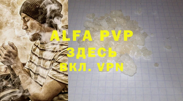 mdpv Белокуриха