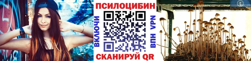 Псилоцибиновые грибы Psilocybine cubensis  даркнет сайт  Гудермес 