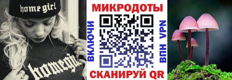 Псилоцибиновые грибы Psilocybe Гудермес