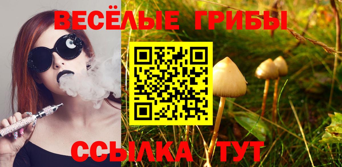 Галлюциногенные грибы ЛСД  Вход с VPN  Гудермес 