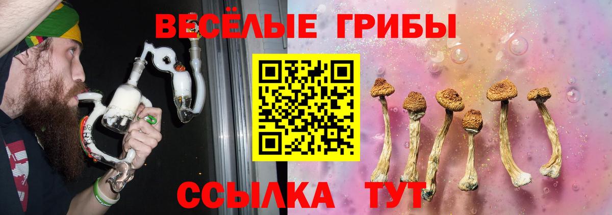 Галлюциногенные грибы прущие грибы Гудермес