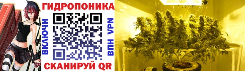 hydra рабочий сайт  Гудермес  Шишки марихуана индика 