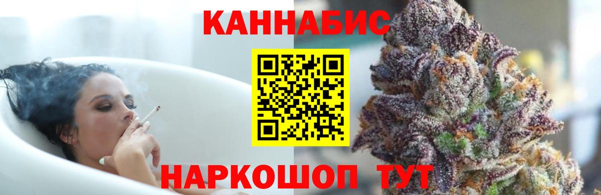 Канабис сатива Гудермес